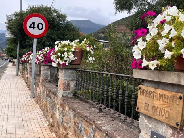 Excepcional Apartamento El Olivo Ojedo Dış mekan fotoğraf